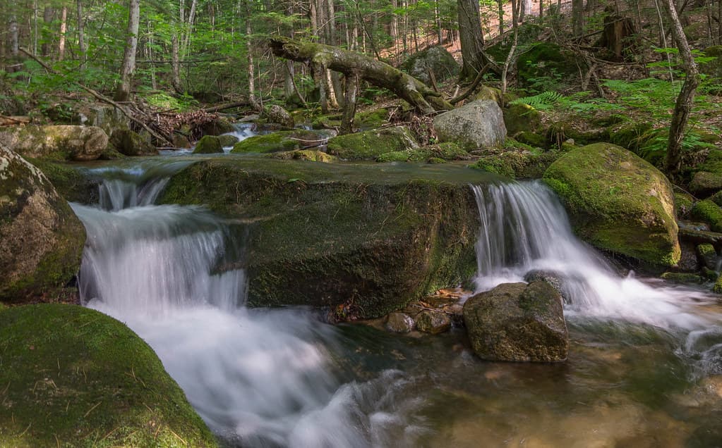 Clear mountain stream