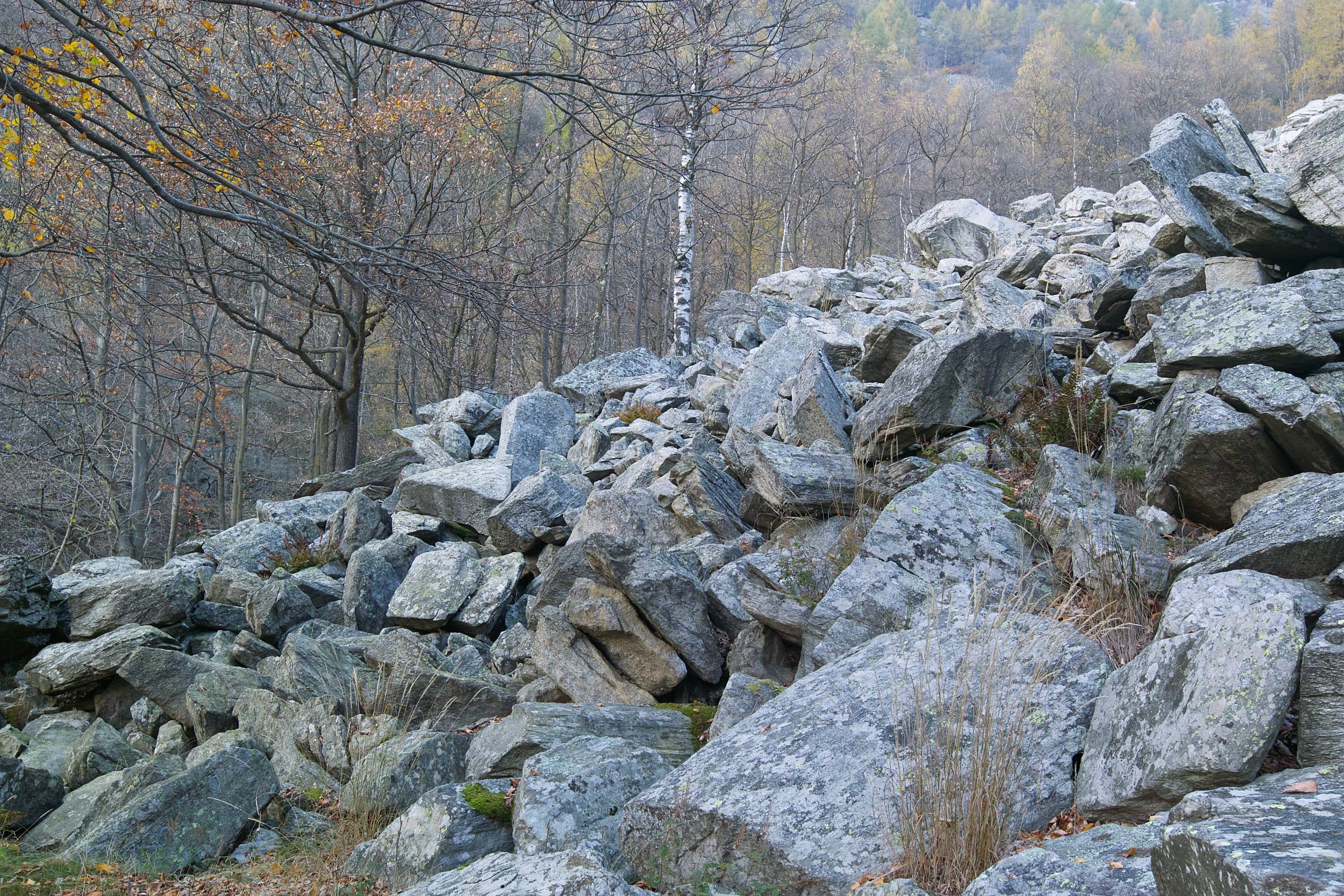 Leadership-Wanderung